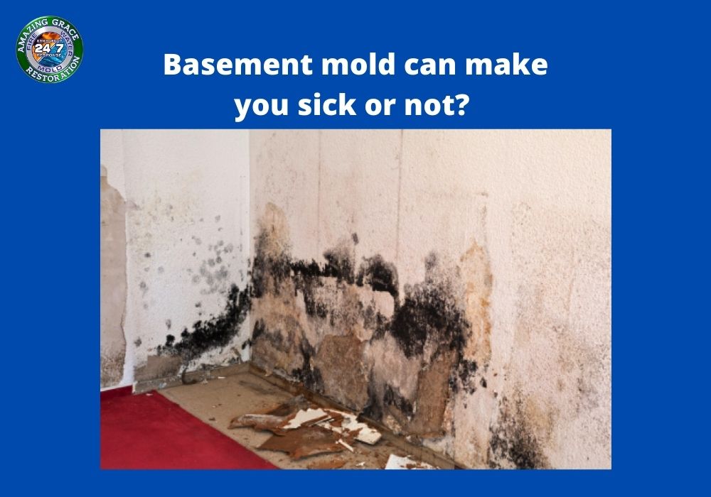 basment-mold-removal-tips