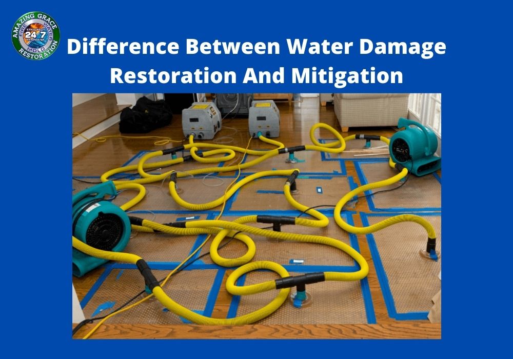 restoration-vs-mitigation
