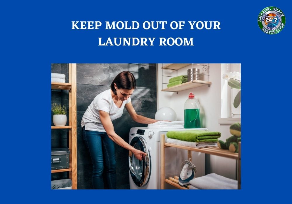 KEEP MOLD OUT OF YOUR LAUNDRY ROOM