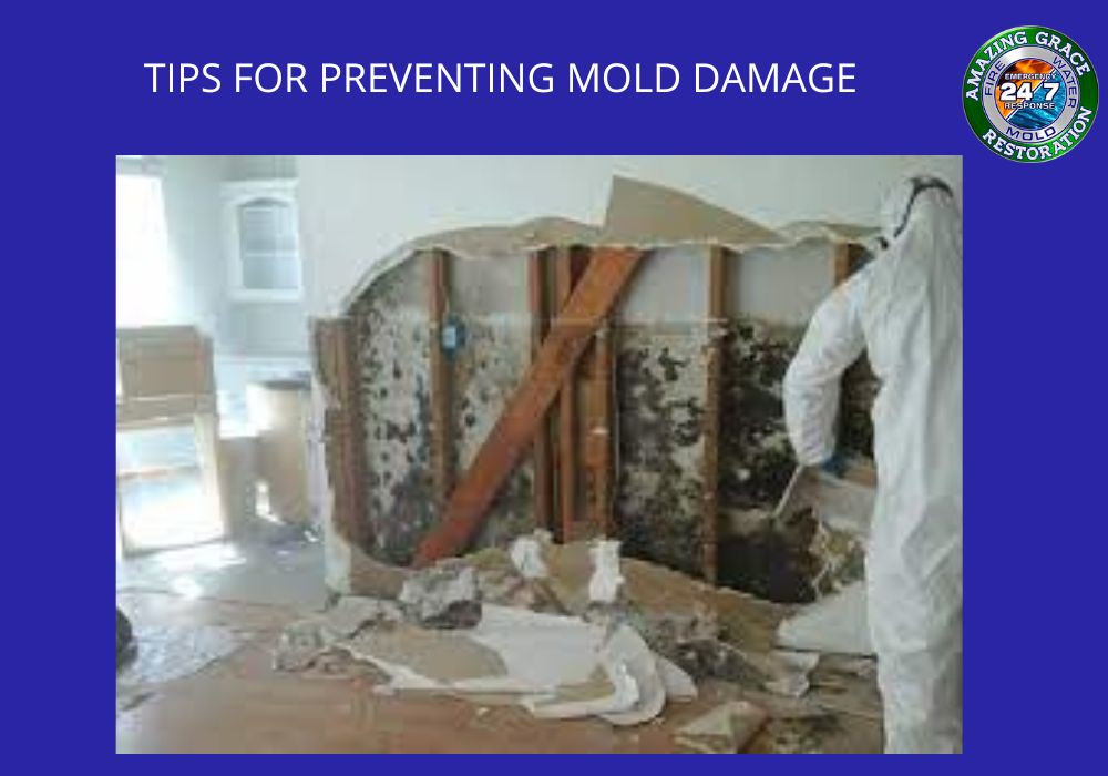 mold_repair